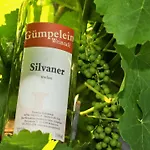 Apartamento Winzerhof & Weincafe Guempelein Willanzheim