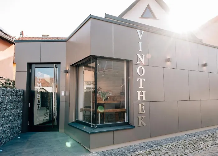 Winzerhof & Weincafe Guempelein Apartamento *
