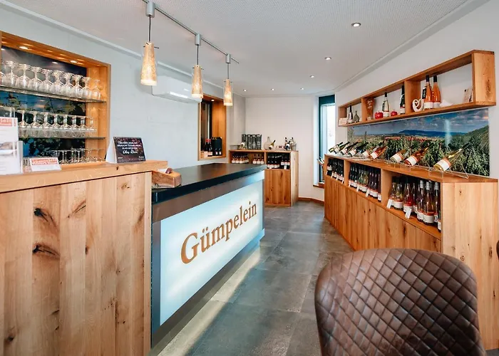 Apartamento Winzerhof & Weincafe Guempelein