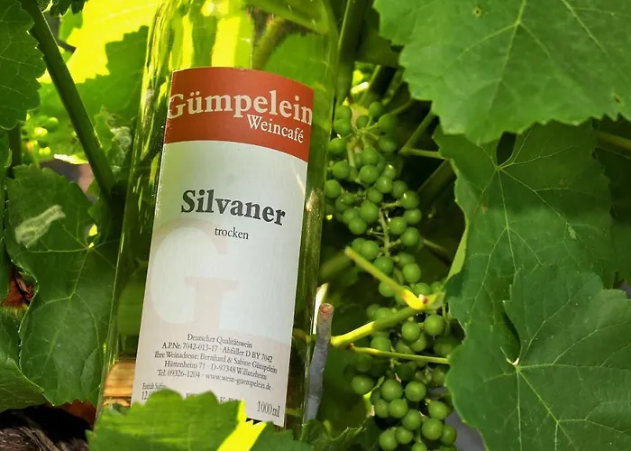 Apartamento Winzerhof & Weincafe Guempelein Willanzheim