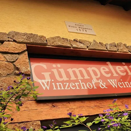 Winzerhof & Weincafe Guempelein Willanzheim
