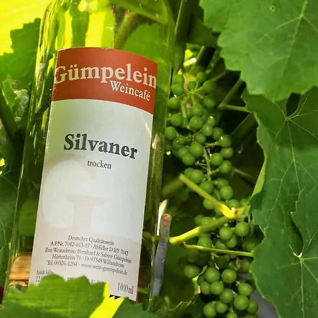 아파트 Winzerhof & Weincafe Guempelein Willanzheim