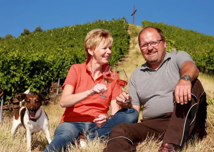 Lejlighed Winzerhof & Weincafe Guempelein *